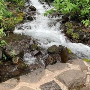 Meet your Posher, Terri